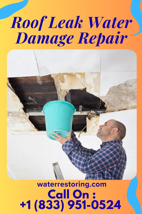 Roof Leak Water Damage Repair in La Presa, CA